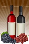 Pair of Wine Bottles with Grapes